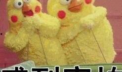 爱情是什么娱乐吃瓜酱,娱乐吃瓜酱视角下的情感盛宴